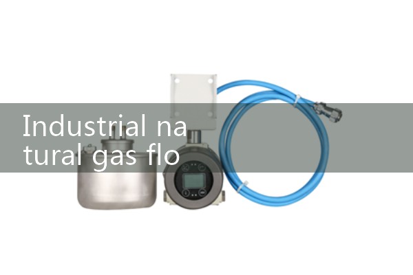 Industrial natural gas flowmeter