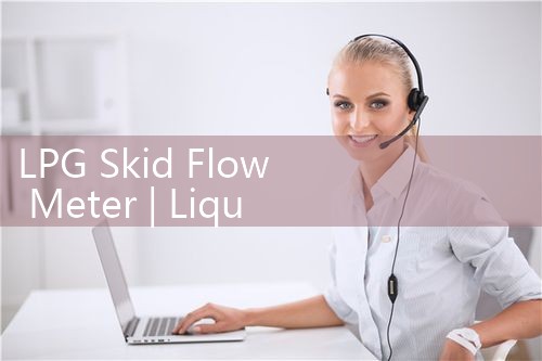 LPG skid flow meter|digital flow meter