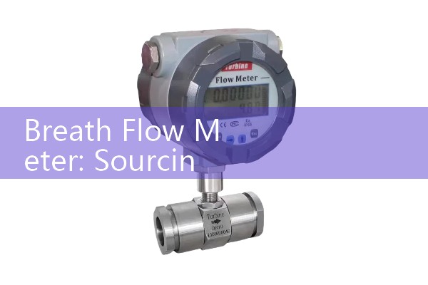 Breath Flow Meter: Sourcing Clinical Expiratory Sizing Pulmonary Instruments