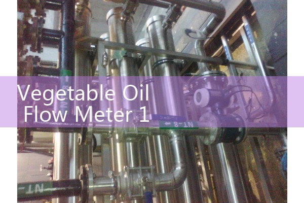 Vegetable Oil Flow Meter 1 Inch Food Processing Skid Integration