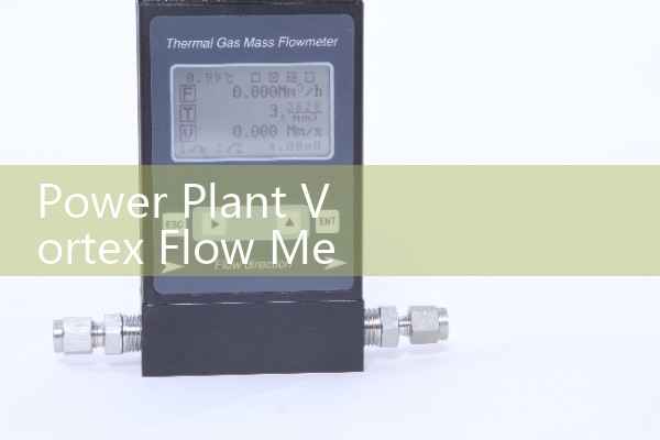 Power plant vortex flowmeter