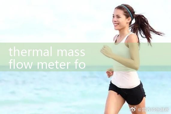 thermal mass flow meter for oxygen|turbine flow meter