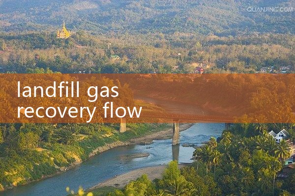 landfill gas recovery flow meter|digital flow meter