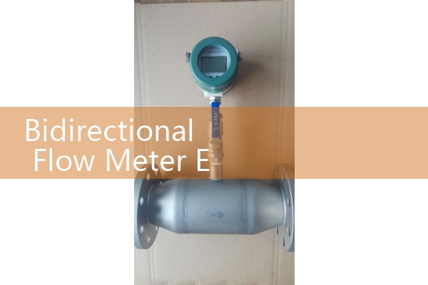 Bidirectional Flow Meter Example Example: Sourcing Dual-Stream Process Sizing Models
