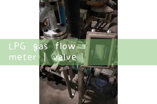 lpg gas flow meter|magnetic flow meter