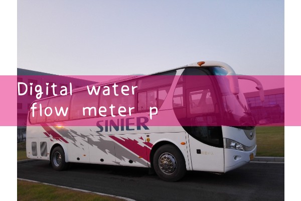 digital water flow meter price|gas flow meter