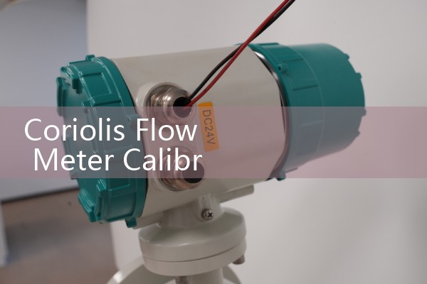 Coriolis Flow Meter Calibration Procedure PDF: Certified Metrology Bench Loops
