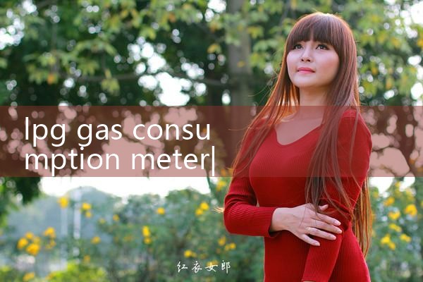 lpg gas consumption meter|digital flow meter