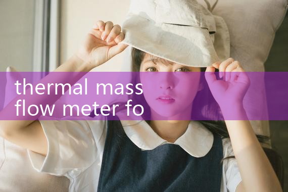 thermal mass flow meter for landfill|turbine flow meter