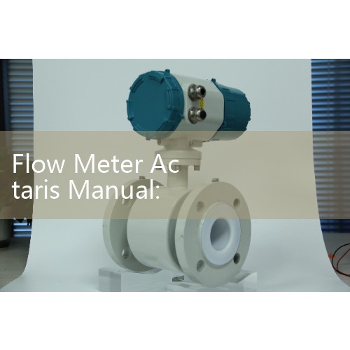 Flow Meter Actaris Manual: Gas and Liquid Positive Displacement Measurement Maintenance