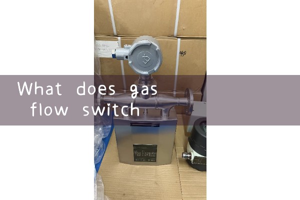 gas flow switch|air flow meter